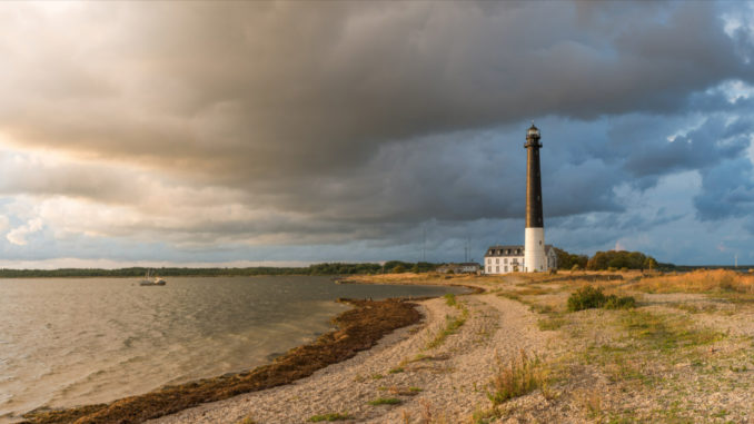 Explorez les délices culinaires des îles Saaremaa et Muhu, en Estonie