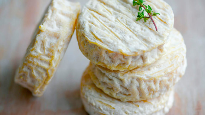 picodon fromage de chèvre